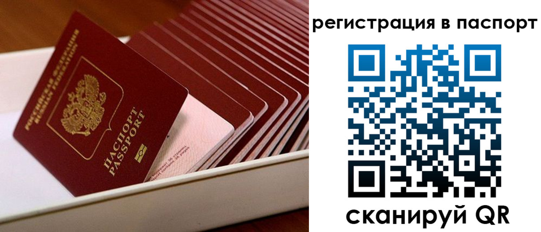 форма 3 в Ельце