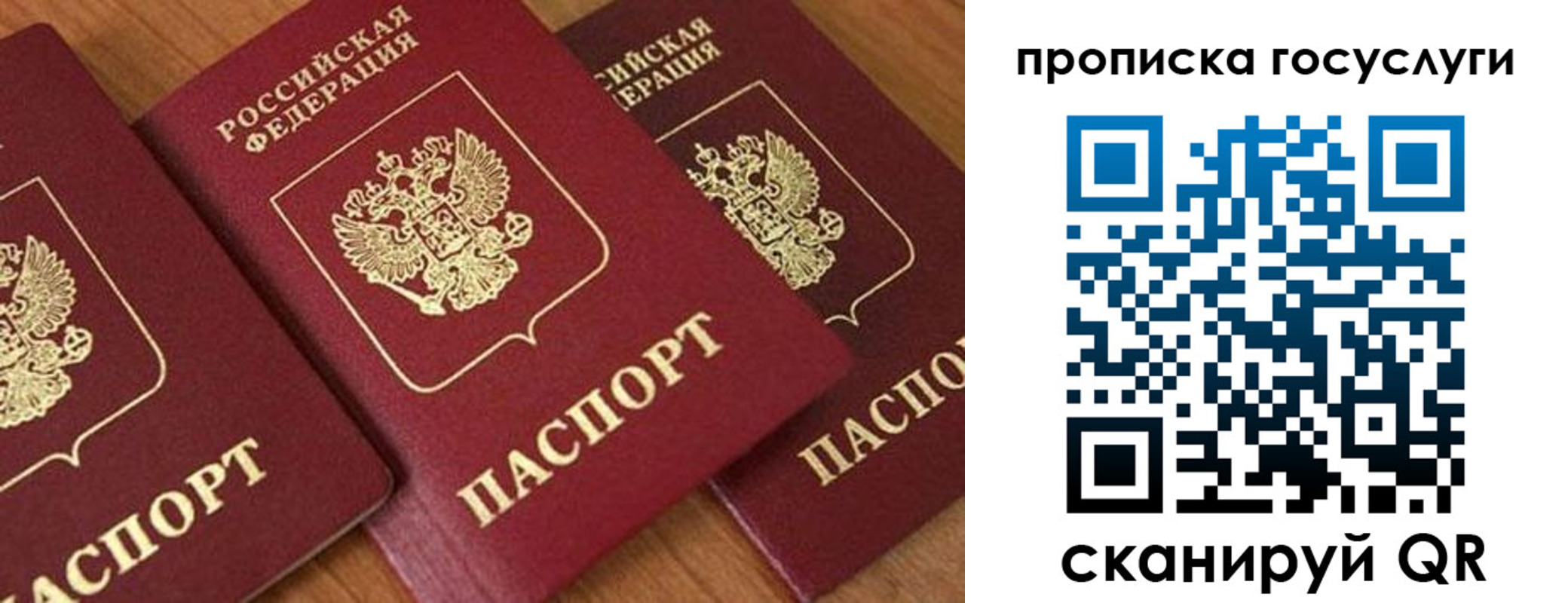 временная прописка в Ельце